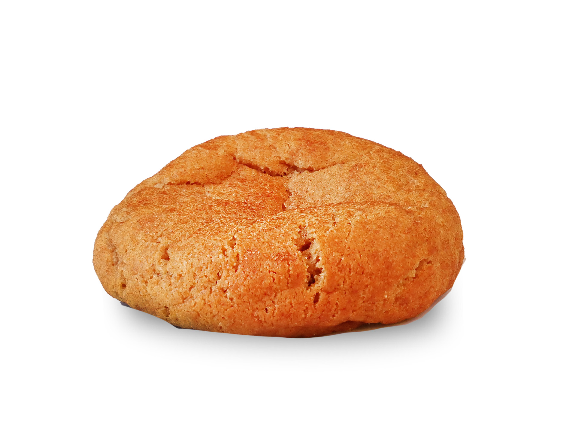 SNICKERDOODLE
