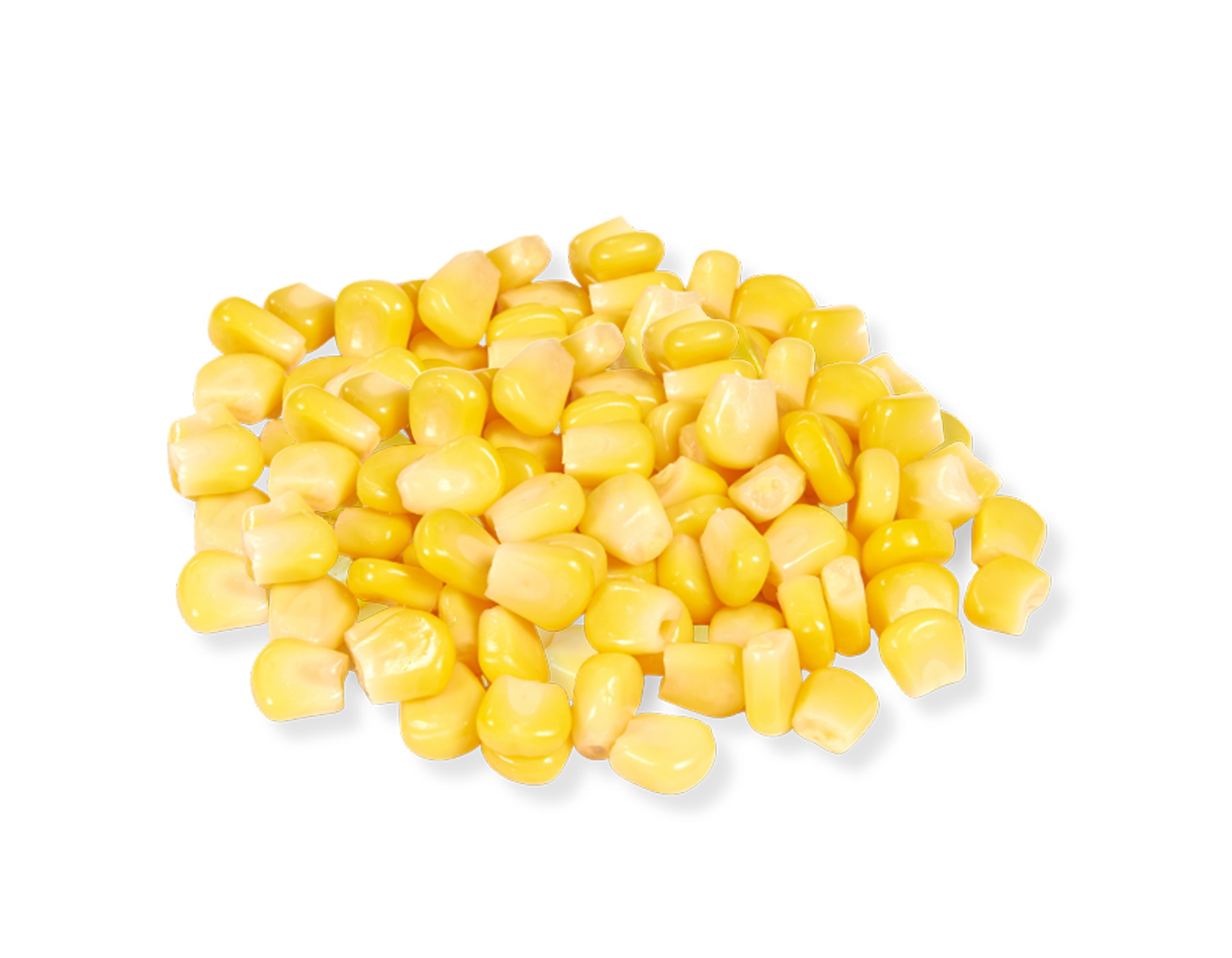 SWEET CORN